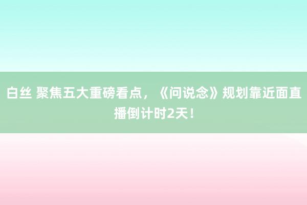 白丝 聚焦五大重磅看点，《问说念》规划靠近面直播倒计时2天！