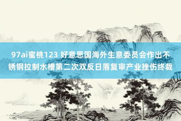 97ai蜜桃123 好意思国海外生意委员会作出不锈钢拉制水槽第二次双反日落复审产业挫伤终裁