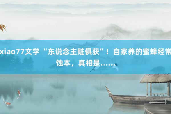 xiao77文学 “东说念主赃俱获”！自家养的蜜蜂经常蚀本，真相是......