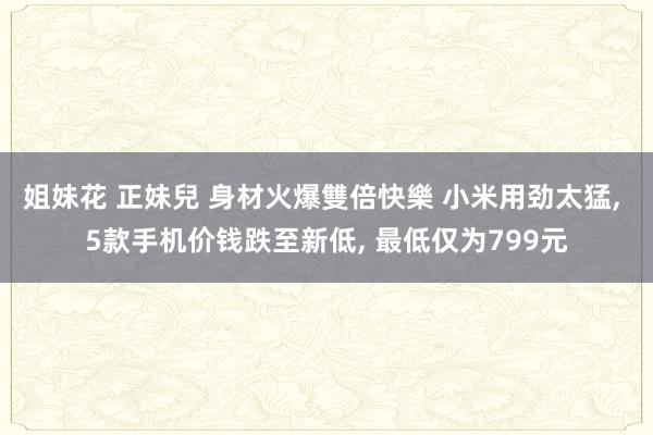 姐妹花 正妹兒 身材火爆雙倍快樂 小米用劲太猛， 5款手机价钱跌至新低， 最低仅为799元
