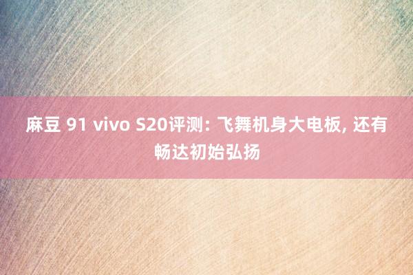 麻豆 91 vivo S20评测: 飞舞机身大电板， 还有畅达初始弘扬