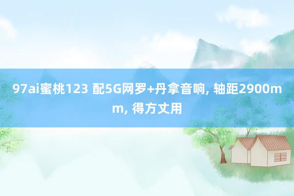 97ai蜜桃123 配5G网罗+丹拿音响， 轴距2900mm， 得方丈用