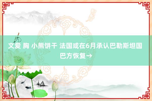 文爱 胸 小熊饼干 法国或在6月承认巴勒斯坦国 巴方恢复→